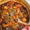 Beef Stew in a red pot