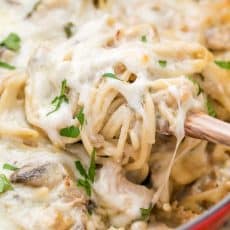 Chicken Tetrazzini is a comforting, cheesy, supremely creamy chicken pasta bake. This chicken pasta casserole will have your family refilling their bowls!