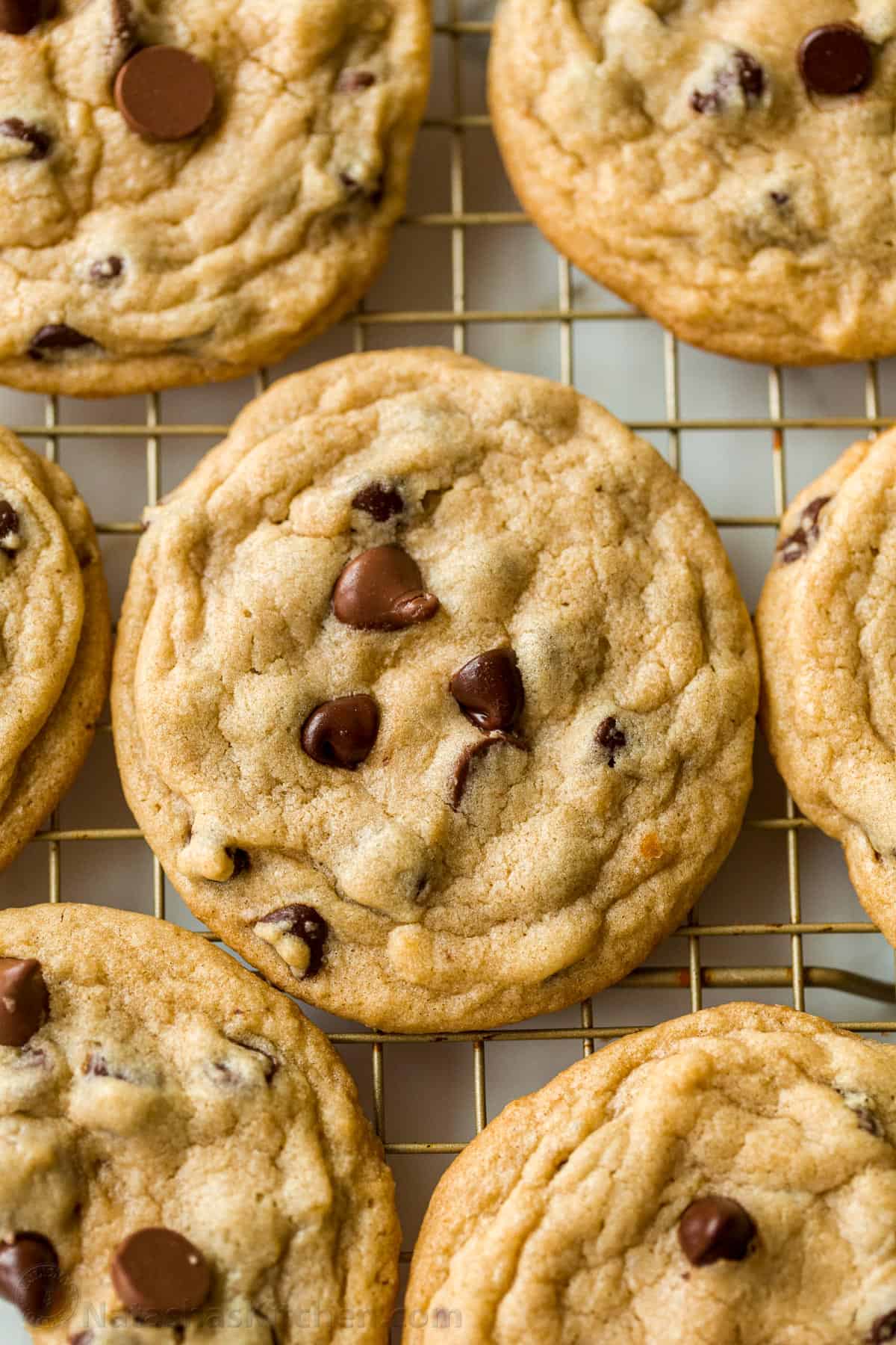 The best chocolate chip cookie recipe cooling on wire rack