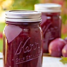 This two-ingredient plum jam recipe is really a cross between plum jam and plum preserves. It's awesome paired with breakfast pancakes or crepes.