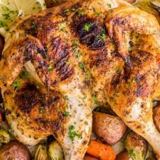 This Spatchcock chicken recipe is our favorite way to roast a whole chicken. Every part of the roasted chicken turns out juicy and so flavorful with that garlic herb butter. Easy and delicious one pan chicken dinner! | natashaskitchen.com